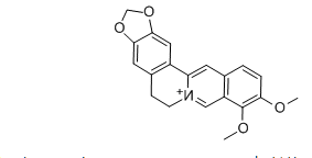 活化氧黄莲素，Berberine，CAS：2086-83-1