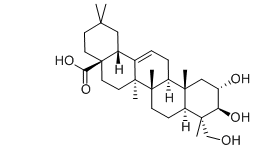 活化氧Arjunolic Acid，阿江榄仁酸，CAS：465-00-9