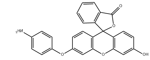 APF，3'-(4-aminophenoxy)-6'-hydroxyspiro[2-benzofuran-3,9'-xanthene]-1-one，359010-70-1