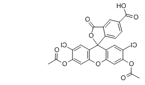 5(6)-Carboxy-2′,7′-dichlorofluorescein diacetate，5[6]-羧基-2',7'-二氯荧光素二乙酸酯，127770-45-0