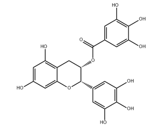 (-)-Epigallocatechin gallate (EGCG)，(-)-表没食子儿茶素没食子酸酯，989-51-5