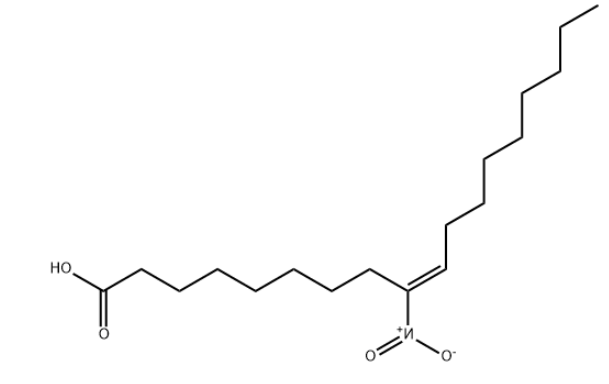 （ROS）活性氧——9-硝基油酸，9-Nitrooleate，CAS号:875685-44-2