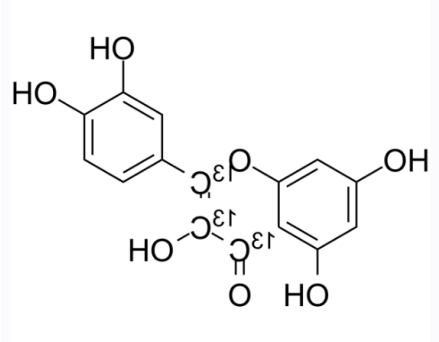 槲皮素 13C3