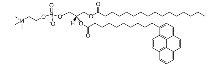 16:0-Pyr PC|1-hexadecanoyl-2-(1-pyrenedecanoyl)-sn-glycero-3-phosphatidylcholine