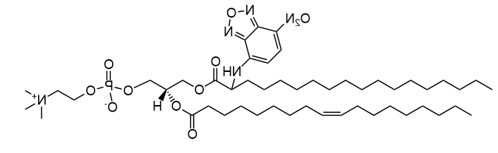 磷脂18:0(2-NBD)-18:1 PC|1-stearoyl(2-NBD)-2-oleoyl-sn-glycero-3-phosphocholine