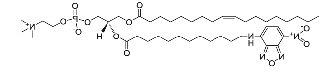 18:1-12:0 NBD PC|1-Oleoyl-2-[12-[(7-nitro-2-1,3-benzoxadiazol-4-yl)amino]dodecanoyl]-sn-Glycero-3-Phosphocholine