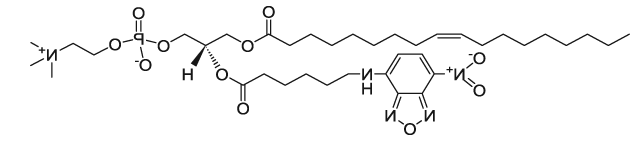 18:1-06:0 NBD PC|1-oleoyl-2-{6-[(7-nitro-2-1,3-benzoxadiazol-4-yl)amino]hexanoyl}-sn-glycero-3-phosphocholine