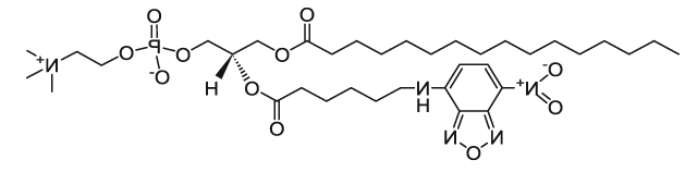 16:0-06:0 NBD PC|1-palmitoyl-2-{6-[(7-nitro-2-1,3-benzoxadiazol-4-yl)amino]hexanoyl}-sn-glycero-3-phosphocholine
