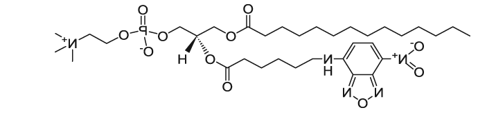 14:0-06:0 NBD PC|1-myristoyl-2-{6-[(7-nitro-2-1,3-benzoxadiazol-4-yl)amino]hexanoyl}-sn-glycero-3-phosphocholine