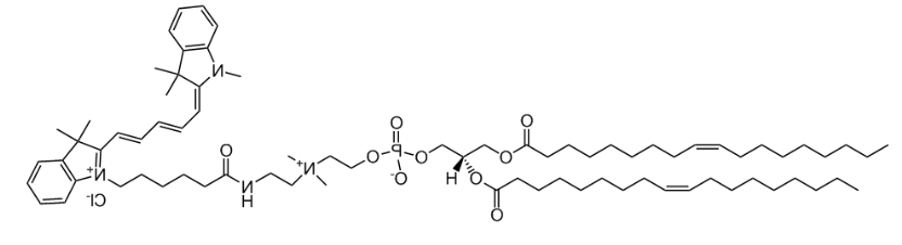 18:1 Cy5 PC|1,2-dioleoyl-sn-glycero-3-phosphocholine-N-(Cyanine 5)磷脂