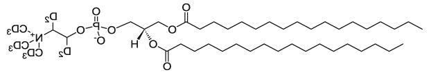 18:0 PC-d13|1,2-distearoyl-sn-glycero-3-phosphocholine-1,1,2,2-d4-N,N,N-trimethyl-d9