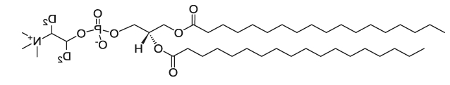 18:0 PC-d4|1,2-distearoyl-sn-glycero-3-phosphocholine-1,1,2,2-d4