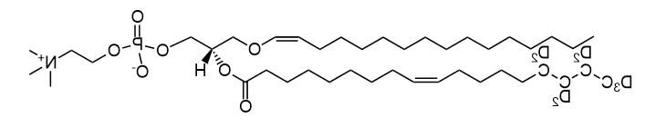 C16(plasm)-18:1(d9)|1-(1Z-hexadecenyl)-2-oleoyl(d9)-sn-glycero-3-phosphocholine Read More C16(plasm)-18:1(d9)|1-(1Z-hexadecenyl)-2-oleoyl(d9)-sn-glycero-3-phosphocholine Read More