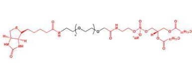 磷脂聚乙二醇生物素，DSPE-PEG-Biotin，生物素PEG磷脂， 生物素聚乙二醇磷脂
