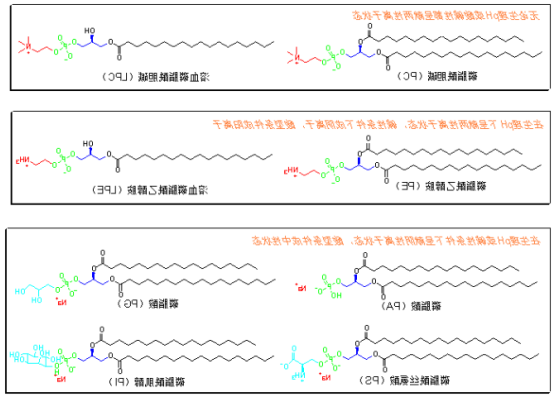 二硬脂酰基磷脂酰胆碱-双硒键-壳聚糖