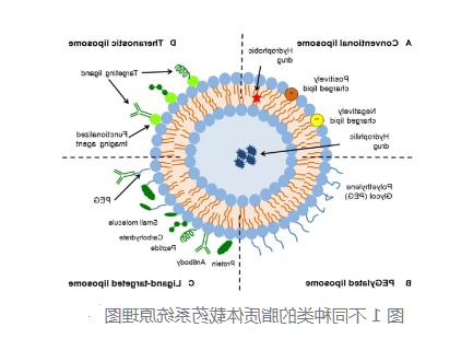 脂质体包冬凌草甲素