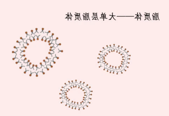 CY7标记PEG化阳离子脂质体包载四氧化三铁