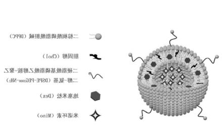 脂质体POPE-PEG2000