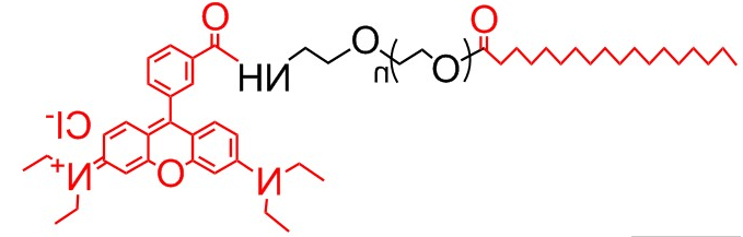 SA-PEG-RB、硬脂酸 聚乙二醇 罗丹明、硬脂酸-PEG-Rhodamine