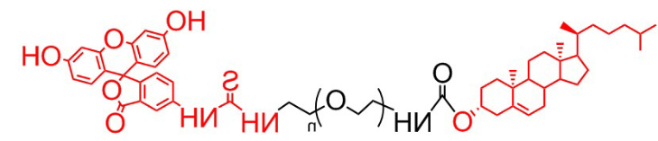 胆固醇 聚乙二醇 荧光素 、胆固醇PEG荧光素、Cholesterol-PEG-FITC