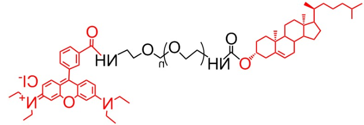 Rhodamine-PEG-CLS、RB-PEG-CLS、胆固醇-聚乙二醇-罗丹明
