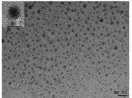 羧基修饰碳量子点 羧基修饰碳量子点