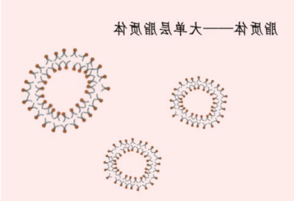 PEG化阳离子脂质体包载阿霉素DOX PEG化阳离子脂质体包载阿霉素DOX