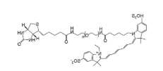 CY7-聚乙二醇-生物素，CY7-PEG-Biotin，CY7聚乙二醇生物素