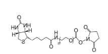 Biotin-PEG-NHS，生物素-聚乙二醇-活性酯，Biotin-PEG-NHS