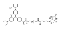 罗丹明-聚乙二醇-生物素，RB-PEG-Biotin，罗丹明b-peg生物素