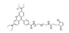 罗丹明-聚乙二醇-马来酰亚胺，Rhodamine PEG Maleimide   RB-PEG-MAL