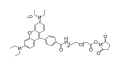 罗丹明-聚乙二醇-活性酯，RB-PEG-NHS，Rhodamine-PEG-NHS