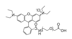 RB-PG-COOH，罗丹明聚乙二醇羧基，RhodamineB-PEG-acid