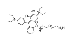 RB-PEG-NH2，罗丹明-聚乙二醇-氨基，Rhodamine-PEG-NH2