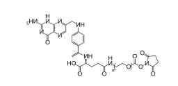 FA-PEG-NHS,叶酸-聚乙二醇-活性脂,Folic acid-PEG-NHS