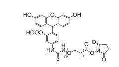 荧光素-聚乙二醇-活性脂，FITC-PEG-NHS，Fluorescein-PEG-NHS