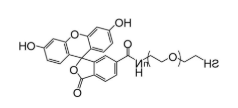 FITC-PEG-SH，荧光素聚乙二醇巯基，Fluorescein (polyethylene glycol)Thiol