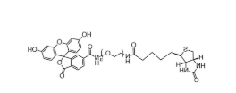 荧光素-聚乙二醇-氨基，FITC-PEG-NH2，Fluorescein-PEG-amine