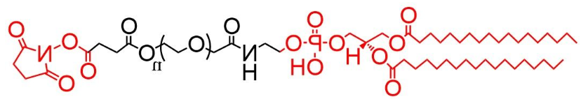 DSPE-PEG-NHS、 二硬脂酰基磷脂酰乙醇胺-聚乙二醇-活性脂，磷脂PEG活性酯