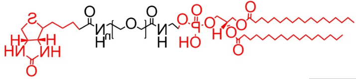 DSPE-PEG-Biotin、二硬脂酰基磷脂酰乙醇胺-聚乙二醇-生物素、磷脂PEG生物素
