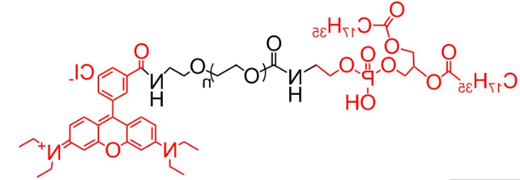 DSPE-PEG-RB、磷脂PEG罗丹明，二硬脂酰基磷脂酰乙醇胺-聚乙二醇-罗丹明
