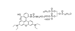 罗丹明标记二硬脂酰磷脂酰乙醇胺，DSPE-RB，DSPE-Rhodamine