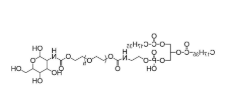 DSPE-PEG-Glucose，磷脂聚乙二醇葡萄糖，DSPE-PEG2000-Glucose