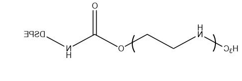 DSPE-PEI，DSPE-b-PEI，磷脂-聚乙烯亚胺，二棕榈酰磷脂酰乙醇胺-聚乙烯亚胺