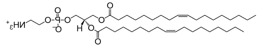 DOPE-PEG、二油酰磷脂酰乙醇胺-聚乙二醇，二油酰磷脂酰乙醇胺PEG
