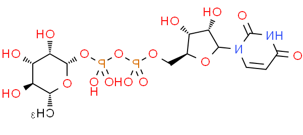 尿苷二磷酸鼠李糖，UDP-beta-L-rhamnose，CAS:1955-26-6
