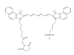 荧光标记活化脂ICG-NHS ester，活化脂吲哚菁绿，1622335-40-3