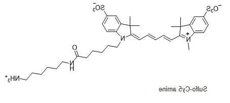 Sulfo-Cy5-氨基,磺化Cy5荧光标记氨基,水溶CY5-NH2 Sulfo-Cy5-氨基,磺化Cy5荧光标记氨基,水溶CY5-NH2
