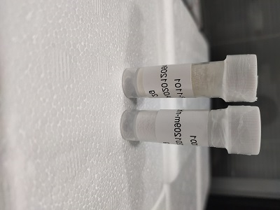 DSPE-PEG-PFP 磷脂-聚乙二醇-五氟苯酚 DSPE-PEG-PFP 磷脂-聚乙二醇-五氟苯酚