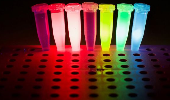 Alginate-FITC 